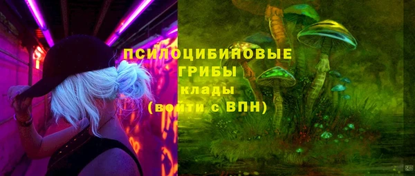 метадон Алексин