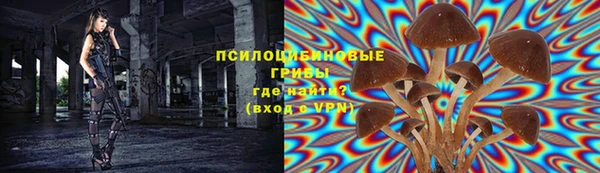 дмт Алзамай