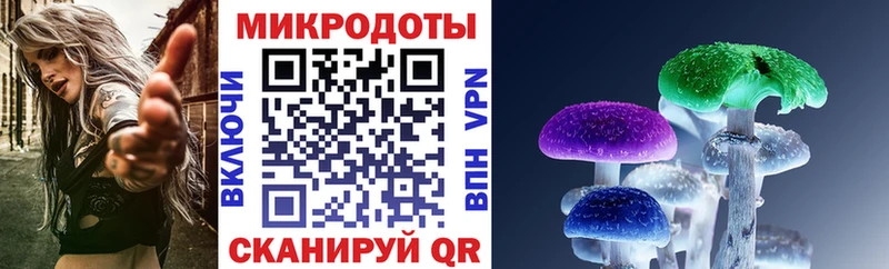 Псилоцибиновые грибы мицелий  где найти наркотики  Покачи 