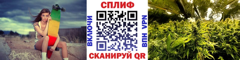 Марихуана индика цена Покачи